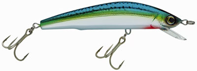 Saltwater Lure Fishing